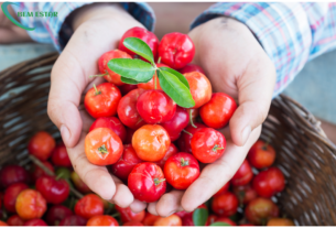 O poder medicinal da acerola, acerola, poder medicinal, Os benefícios da acerola para a saúde, acerola, benefícios, saúde, Vitamina C: o principal nutriente da acerola, acerola, vitamina C, nutriente, Propriedades antioxidantes da acerola, acerola, propriedades antioxidantes, Acerola: um aliado na prevenção do câncer, acerola, prevenção, câncer, Como a acerola pode ajudar a combater o envelhecimento precoce, acerola, combate, envelhecimento precoce, Acerola e sua capacidade de fortalecer o sistema imunológico, acerola, fortalecimento, sistema imunológico, Benefícios da folha de acerola para o estresse, acerola, folha de acerola, benefícios, estresse, Como preparar e consumir a folha de acerola, acerola, folha de acerola, preparo, consumo, Efeitos colaterais e precauções no uso da acerola e sua folha, acerola, folha de acerola, efeitos colaterais, precauções.