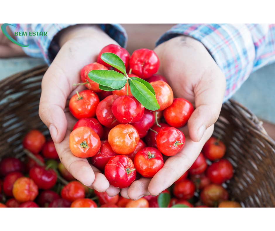 O poder medicinal da acerola, acerola, poder medicinal, Os benefícios da acerola para a saúde, acerola, benefícios, saúde, Vitamina C: o principal nutriente da acerola, acerola, vitamina C, nutriente, Propriedades antioxidantes da acerola, acerola, propriedades antioxidantes, Acerola: um aliado na prevenção do câncer, acerola, prevenção, câncer, Como a acerola pode ajudar a combater o envelhecimento precoce, acerola, combate, envelhecimento precoce, Acerola e sua capacidade de fortalecer o sistema imunológico, acerola, fortalecimento, sistema imunológico, Benefícios da folha de acerola para o estresse, acerola, folha de acerola, benefícios, estresse, Como preparar e consumir a folha de acerola, acerola, folha de acerola, preparo, consumo, Efeitos colaterais e precauções no uso da acerola e sua folha, acerola, folha de acerola, efeitos colaterais, precauções.